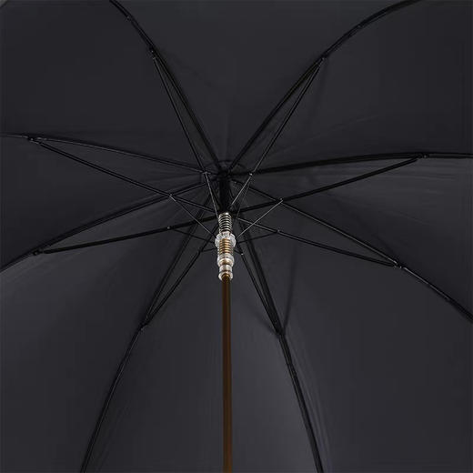 Pasotti意大利手工定制黑色伞面金狮子防紫外线晴雨伞男士礼盒装 商品图2