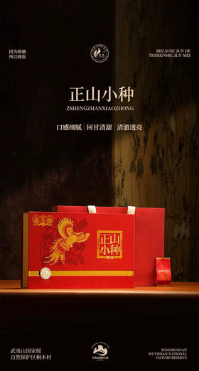 骏德茶业 武夷红茶茶叶桐木关正山小种桂圆汤松烟香二级250g礼盒