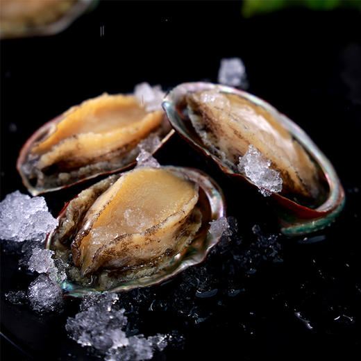星龙港冷冻海鲜礼盒/一帆风顺2600g（注：冷冻生鲜类商品不退，质量问题只换） 商品图4
