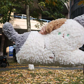 50cm软萌猫咪抱枕卧姿抱枕-纪念日百货门店同款166546396