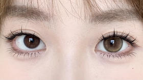 loveiikira日抛美瞳 月桂树下 14.5mm