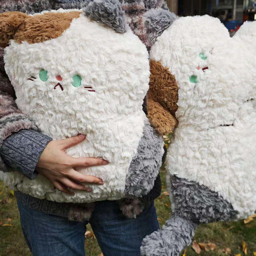 45cm软萌猫咪抱枕坐姿抱枕-纪念日百货门店同款166546345 商品图0