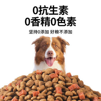 台派狗粮金毛泰迪比熊拉布拉多小中大型全犬种通用成犬粮10kg 商品图1