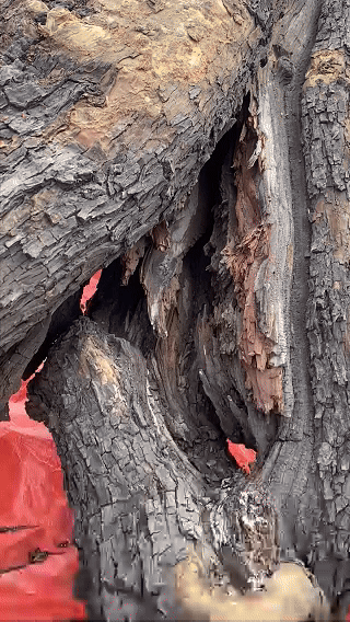 【雷击木合集】手串吊坠挂件手把摆件