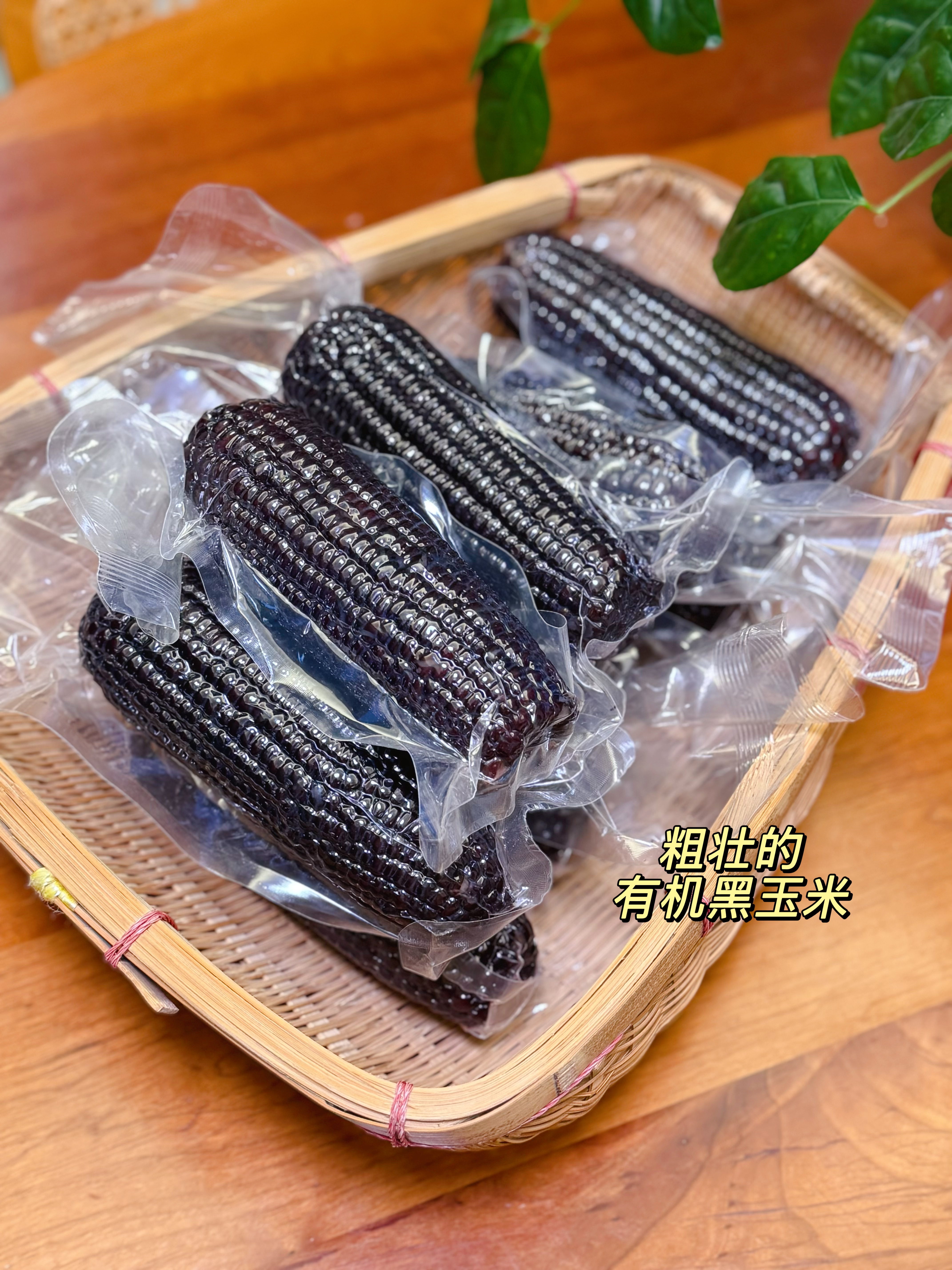 【25年新玉米&有机黑糯玉米多种选择】出自内蒙敖汉旗北纬40度 香甜软糯 牙口不好也能吃  粗粮 减脂主食 饱满~更甜~更香~更软糯~更好吃~