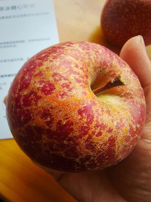【高原太阳斑糖心苹果 】脆甜多汁 果味浓郁/生态种植不套袋不打蜡 糖心率80% 现摘现发 顺丰包邮 商品图11