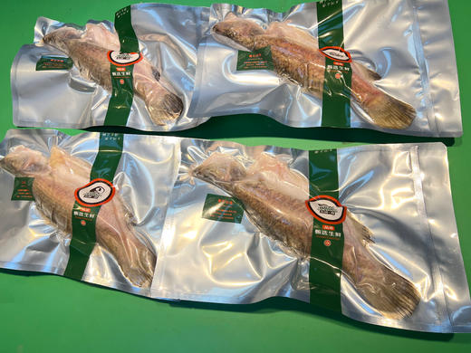 [青石斑鱼] 500g*1条装 国产海捕 清蒸/家焖 商品图1