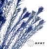 配花 | 染色金鹅绒宝石蓝 商品缩略图0