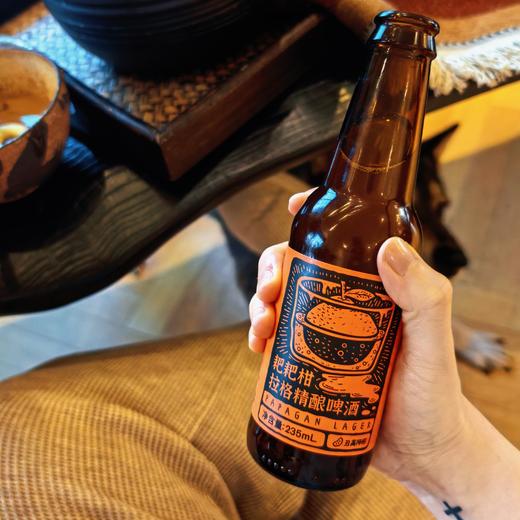  [屁侠推荐]丑美阿柑 耙耙柑拉格精酿啤酒  235ml*6瓶  商品图0