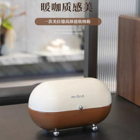 麦桶桶桌面收纳盒子防尘玄关小杂物客厅高档收纳箱