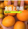 桂林 黄金桔特大 单斤 商品缩略图1