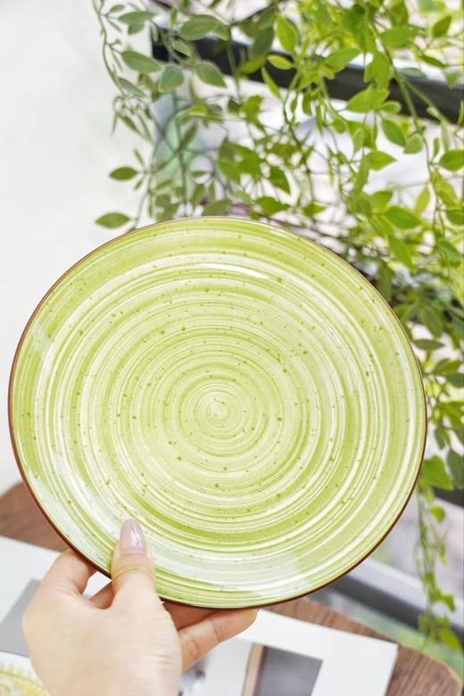 【外贸捡漏】灼瓷 陶瓷餐盘福袋19.9元到手4个 商品图4