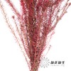 配花 | 染色金鹅绒桃粉 商品缩略图3