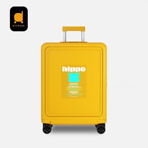 【大牌专柜同款】迪柯文时尚潮流色彩缤纷拉杆箱 大容量轻便实用 商品图0