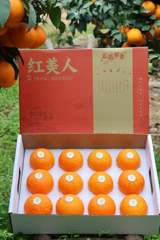 浙江象山  红美人果汁柑橘  Q弹似果冻  汁水丰富无比 商品图13