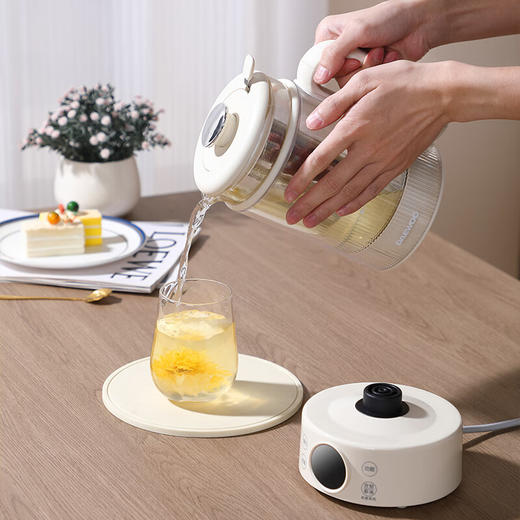 大宇养生壶DYYS-8082 商品图3