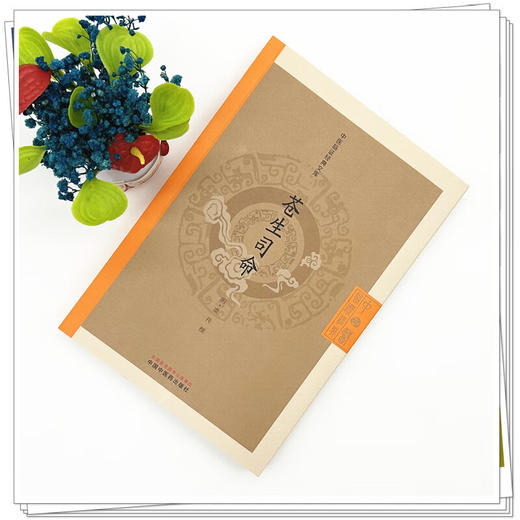 苍生司命 中医临证经典文库 明 虞抟 撰 明代医学经典中医临床世医传承丹溪学派中医古籍图书 9787513296052 中国中医药出版社 商品图2