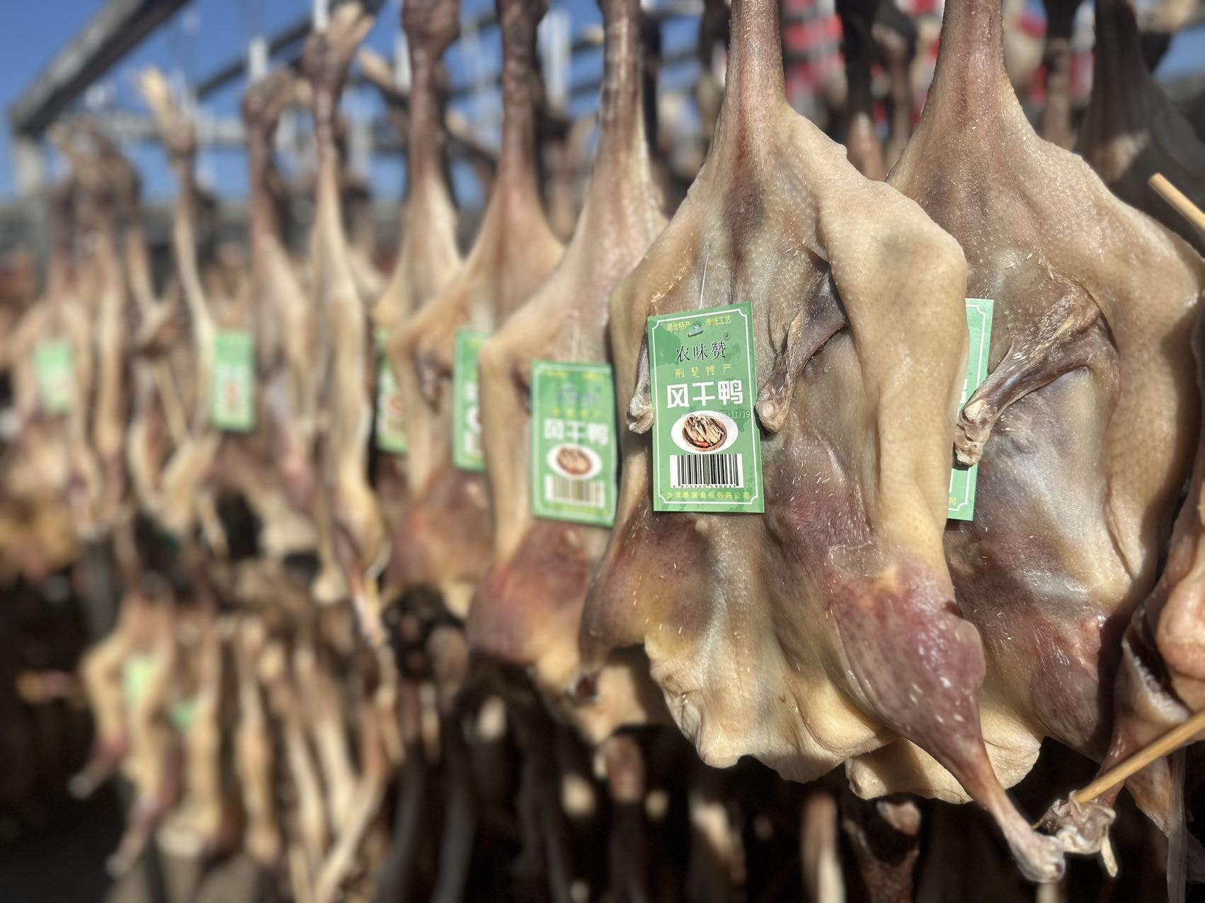 湖北荆门十里铺风干鸭23.5元1只900g,明天到
