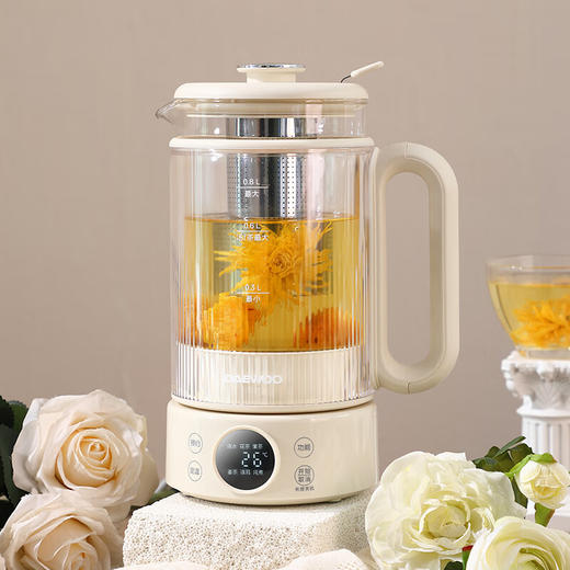 大宇养生壶DYYS-8082 商品图0