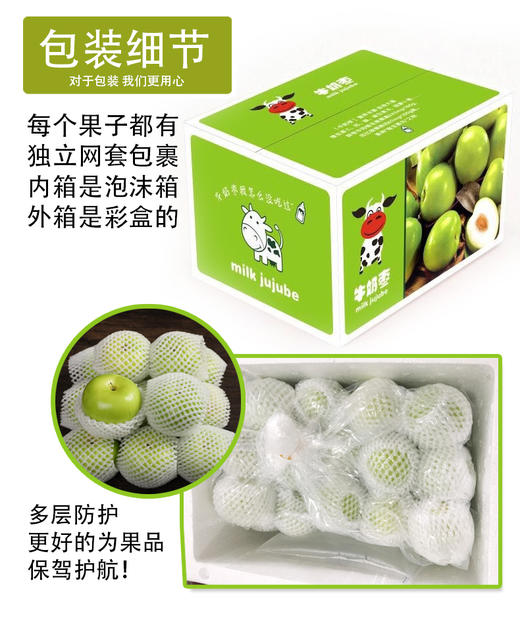 翡翠蜜枣 商品图6