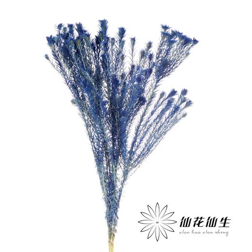 配花 | 染色金鹅绒宝石蓝 商品图1