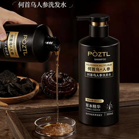 【POZTL泊紫汀兰  何首乌人参植物洗发水】500ML一瓶，古法传承养黑，草本植萃配方，自然洗出乌黑头发~