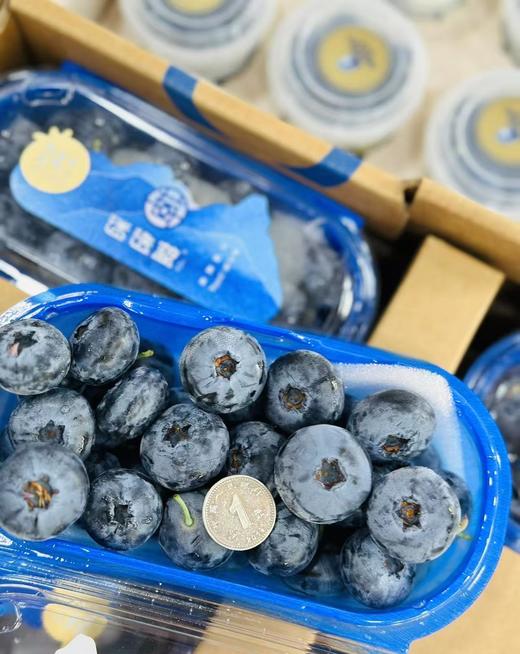 云南蓝莓【脆甜】24+单盒 商品图1