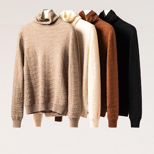 人手一件~山羊绒立体浮雕高领堆领两穿打底衫女新款毛衣CYR25089 商品图2