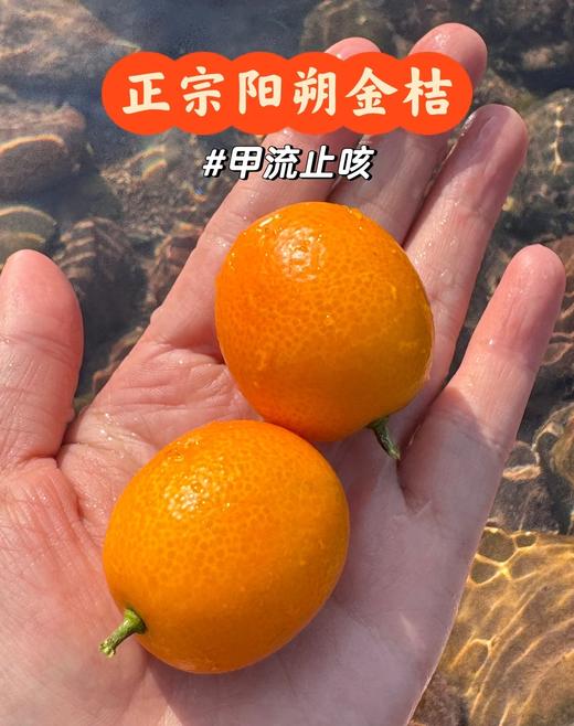桂林 黄金桔特大 单斤 商品图2
