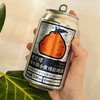 [屁侠推荐]丑美阿柑 耙耙柑柏林酸小麦精酿啤酒  330ml*6瓶装  商品缩略图0
