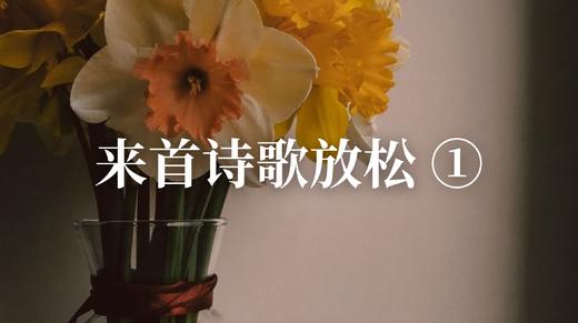 来首诗歌放松 ① 商品图0