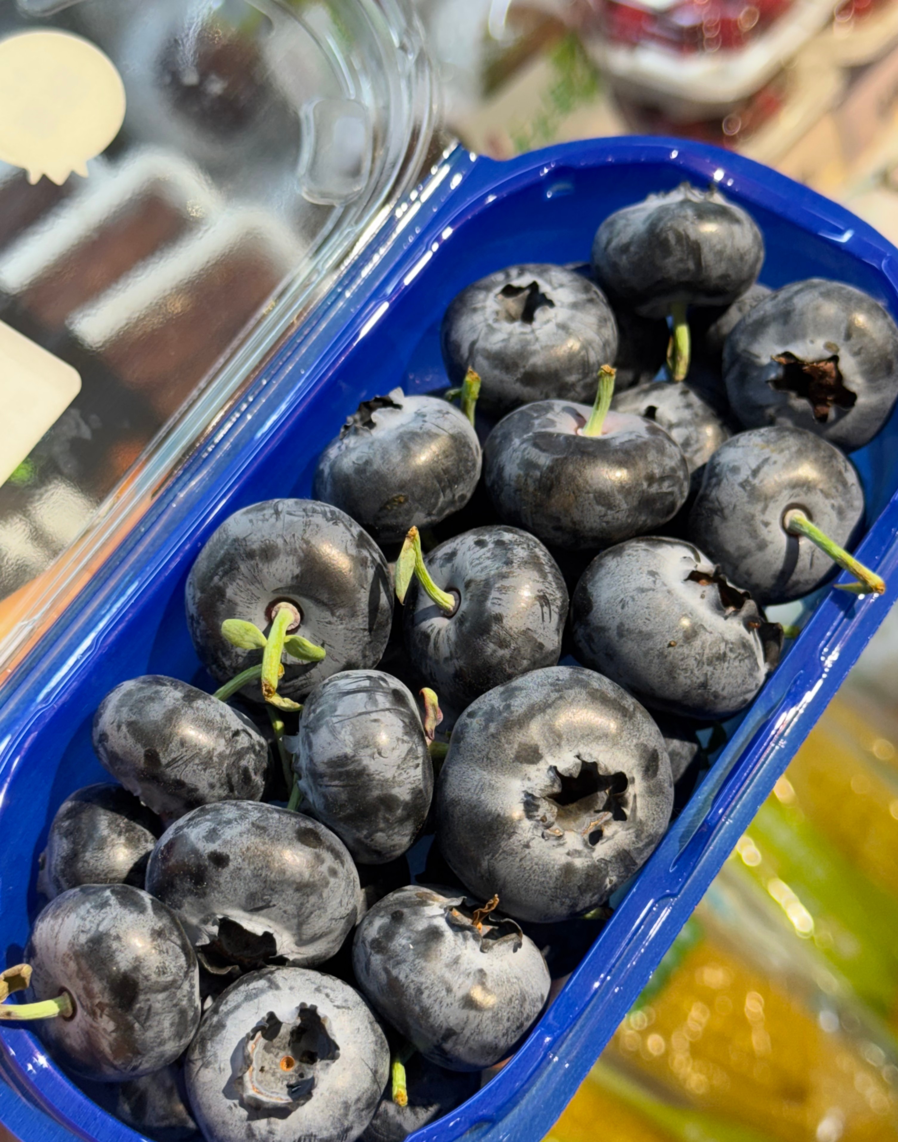超大 云南蓝莓【脆甜】24+