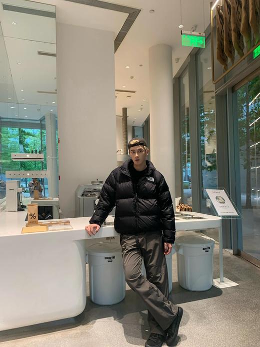 北面 1996经典款羽绒服  多色合集（MT） 商品图5