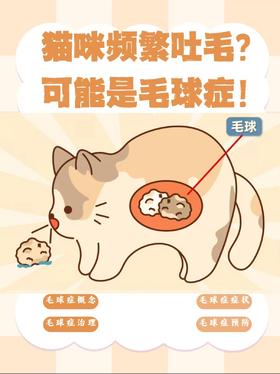 新手养猫必看：猫咪频繁吐毛？毛球症的防与治全攻略
