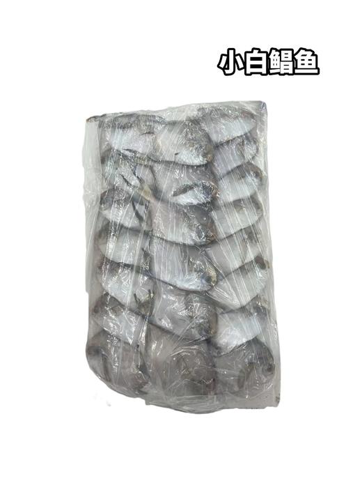 小白鲳鱼　一件19-21条上下 商品图1