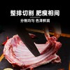 HOOORSH 蒙古羔羊手抓羊肋排1kg*1袋 原切无添加，黄金肌脂比把控，入口丰腴不腻，瘦而不柴 商品缩略图1