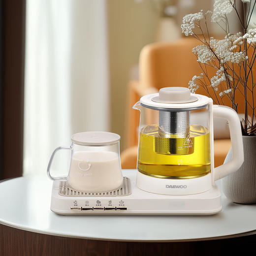 大宇多功能养生壶套装DYZC-1063 商品图3