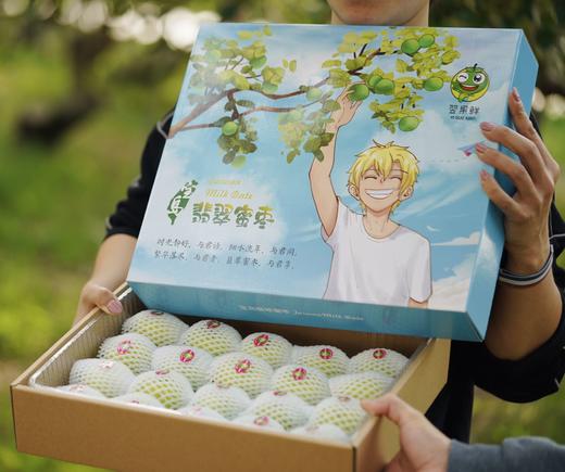 翡翠蜜枣 商品图7