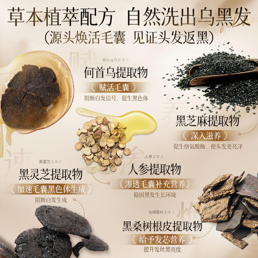 【POZTL泊紫汀兰  何首乌人参植物洗发水】500ML一瓶，古法传承养黑，草本植萃配方，自然洗出乌黑头发~ 商品图4