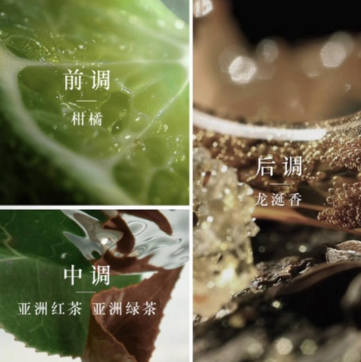阿玛尼玉龙茶高定香水2ml 初闻是绿茶的清香 宛如清泉 再闻又纯又欲 逐渐变成沉稳木质香 商品图5