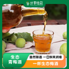 生态青梅酒 | 暖胃开寒 | 公平贸易包邮*Plum wine 商品缩略图0