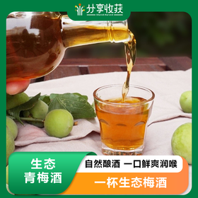 生态青梅酒 | 暖胃开寒 | 公平贸易包邮*Plum wine