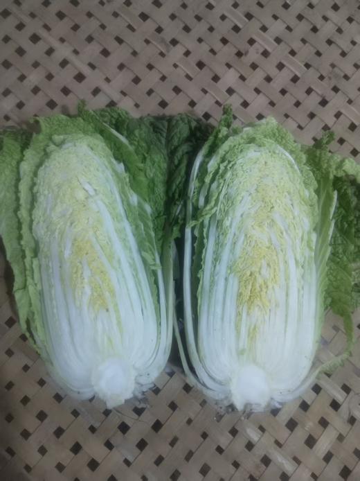 【助农】新鲜包菜//酵素零污染村庄东沁阳种植 商品图3