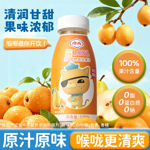 大红门＆海底小纵队联名款“雪莉枇杷复合果汁230ml*12瓶/箱” 商品图0