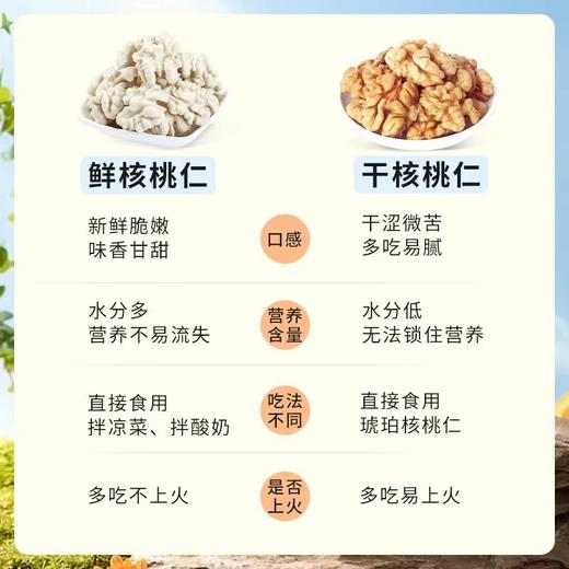 强宏优果新疆阿克苏即食去皮鲜核桃仁儿童孕妇优选 商品图4