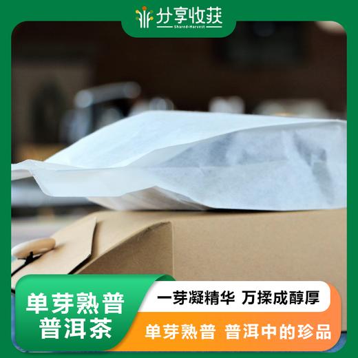 单芽熟普 普洱茶 核心产区 | 公平贸易 | 基地直发 包邮 * Pu'Er Tea | Fair Trade 商品图0