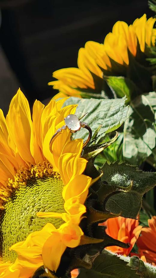 金蟾·翡翠戒指【 嘉石群播313】 商品图11