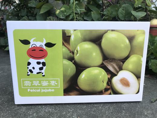 翡翠蜜枣 商品图5