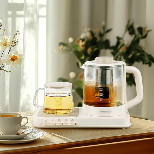 大宇多功能养生壶套装DYZC-1063 商品图0