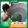 基诺古树茶 晒红 生普 月光白 回甘长久 |公平贸易 基地直发 包邮 * Jino Ancient Tea | Fair Trade 商品缩略图0